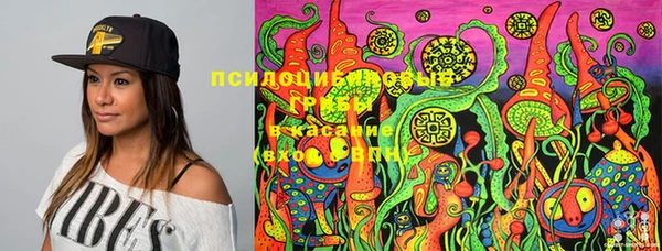PSILOCYBIN Магас