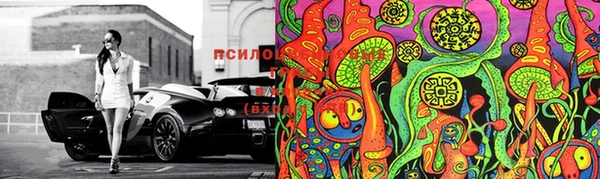 PSILOCYBIN Магас
